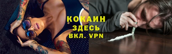 гашик Бородино