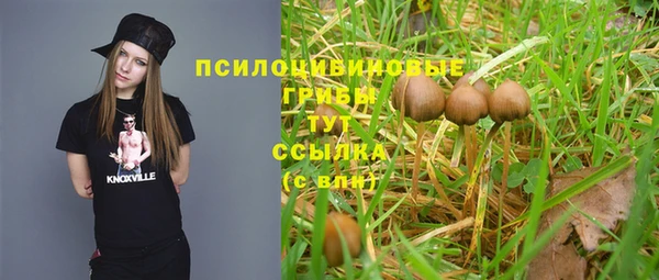 бошки Богородск