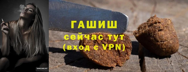гашик Бородино