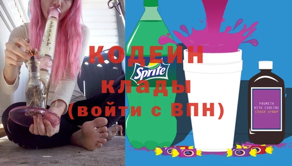 гашик Бородино