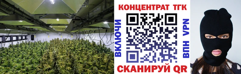 Купить где  Кириши  ТГК THC oil 